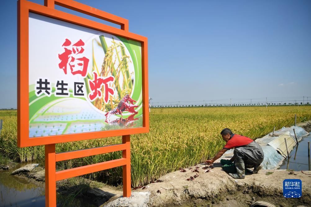 彩娱乐登陆网址是多少
